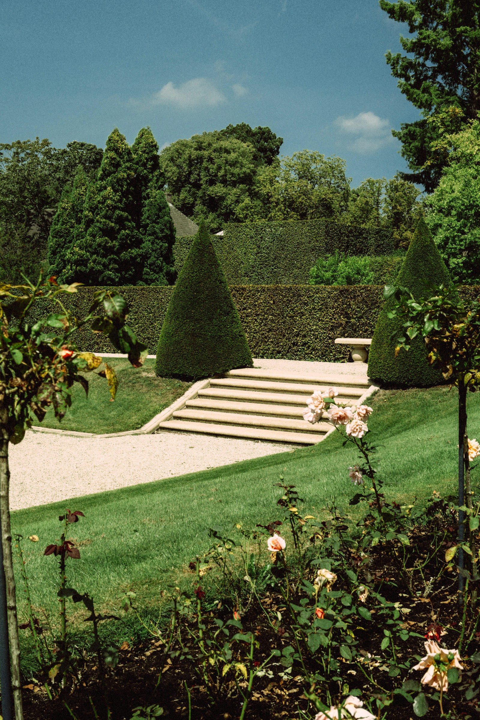 Stone steps set into a planted slope leading down to a lower garden
