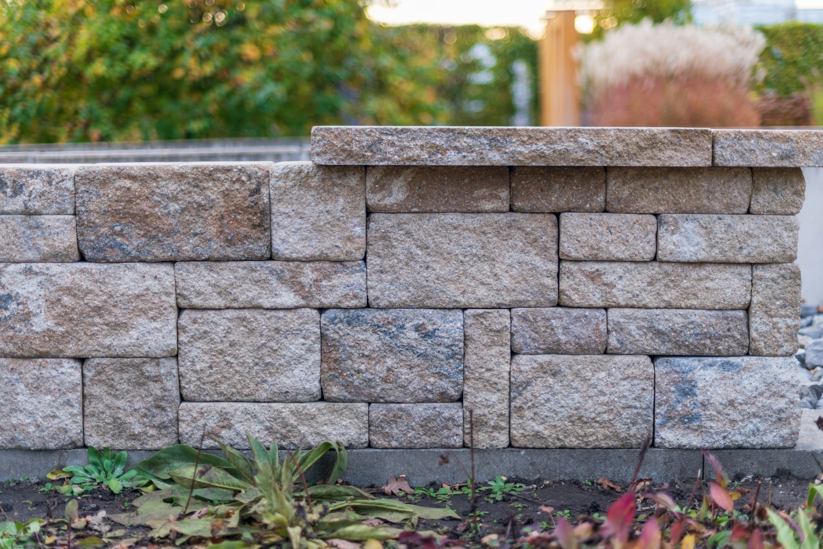 A dry-stacked stone retaining wall with planting along its face