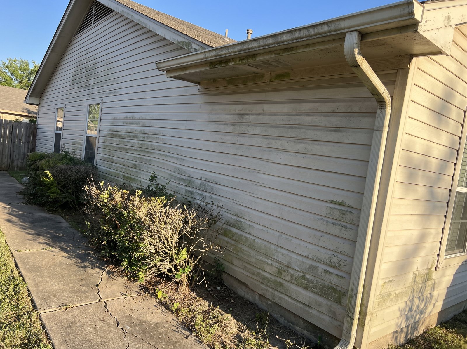 Vinyl siding with green algae streaks before a soft wash.